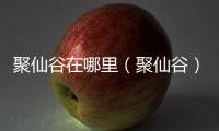 聚仙谷在哪里（聚仙谷）