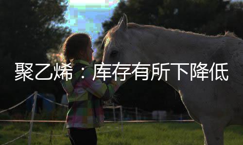聚乙烯：庫存有所下降低位運行為主