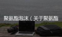 聚氨酯泡沫（關于聚氨酯泡沫的基本情況說明介紹）