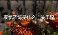 聚氯乙烯是什么（關于聚氯乙烯是什么的基本情況說明介紹）