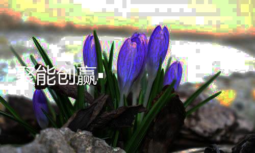 聚能創贏▪重塑增長