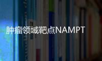 腫瘤領(lǐng)域靶點(diǎn)NAMPT潛力如何？能否成為下一個(gè)熱門賽道？