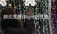 肺炎支原體igm陽性是什么意思（肺炎支原體陽性是什么意思）