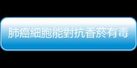 肺癌細胞能對抗香菸有毒物質，活得比正常細胞更好