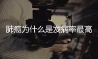 肺癌為什么是發病率最高的癌癥其他癌癥的醫治發展怎么樣了支撐健康飲食