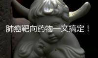 肺癌靶向藥物一文搞定！