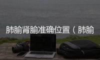肺腧腎腧準(zhǔn)確位置（肺腧）