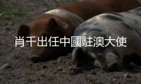 肖千出任中國(guó)駐澳大使