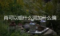 肖可以組什么詞加什么偏旁（肖可以組什么詞）