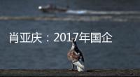 肖亞慶：2017年國企改革將從混改等五方面突破