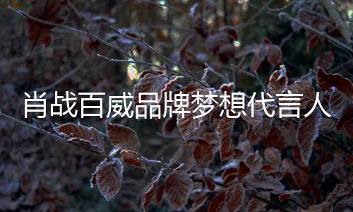 肖戰百威品牌夢想代言人，本人代言非常多，粉絲購買力強