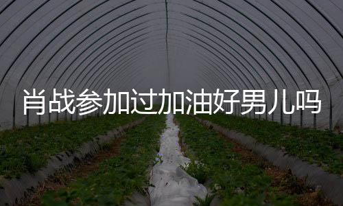 肖戰參加過加油好男兒嗎和加油肖戰熱點事件的情況說明