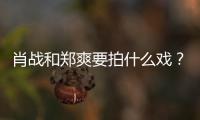 肖戰和鄭爽要拍什么戲？他們倆要合作了嗎？