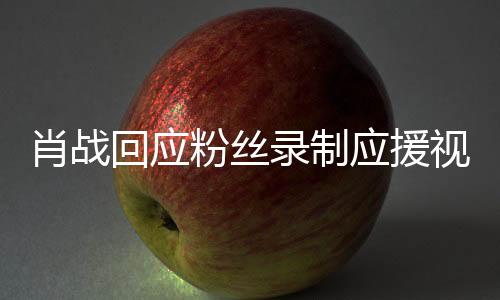 肖戰回應粉絲錄制應援視頻：我不需要應援