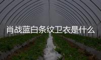 肖戰藍白條紋衛衣是什么牌子