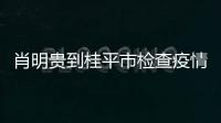 肖明貴到桂平市檢查疫情防控、安全生產、森林防火等多項工作