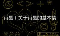 肖晶（關于肖晶的基本情況說明介紹）