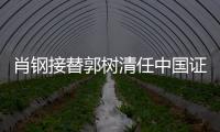 肖鋼接替郭樹清任中國證監會主席