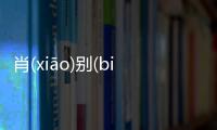 肖(xiāo)別(bié)可以這樣解讀嗎?