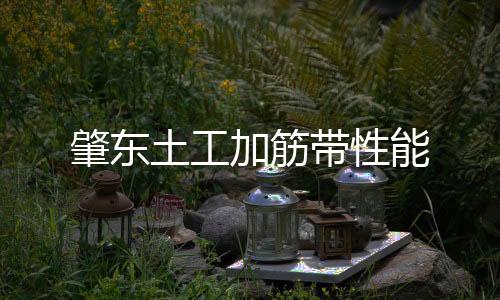 肇東土工加筋帶性能