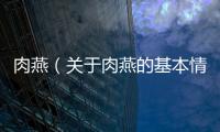 肉燕（關(guān)于肉燕的基本情況說明介紹）