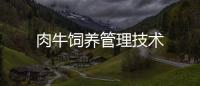 肉牛飼養管理技術