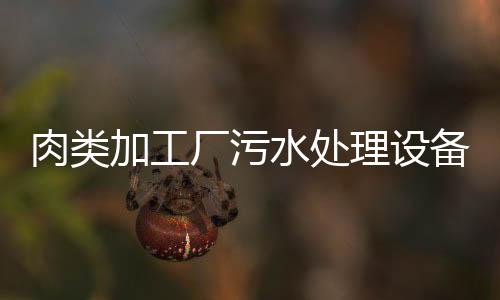 肉類加工廠污水處理設(shè)備