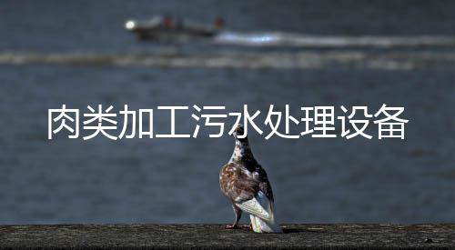 肉類加工污水處理設(shè)備