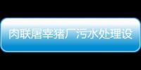 肉聯屠宰豬廠污水處理設備