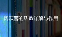 肉蓯蓉的功效詳解與作用科普