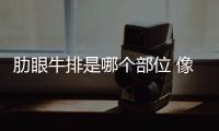 肋眼牛排是哪個部位 像眼球的牛肋脊
