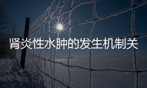 腎炎性水腫的發(fā)生機制關愛身體刻不容緩
