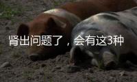 腎出問題了，會有這3種癥狀，多吃這3種食物，有利腎臟健康