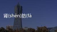 腎(shèn)肪(fánɡ)眶(kuànɡ)真實原因是什么