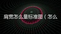 肩寬怎么量標(biāo)準(zhǔn)圖（怎么量肩寬尺寸圖解）