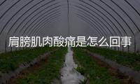 肩膀肌肉酸痛是怎么回事呢 引起的原因有很多