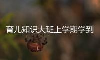 育兒知識大班上學期學到了哪些適用技能？
