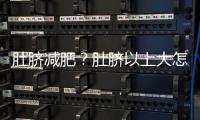 肚臍減肥？肚臍以上大怎么減肥