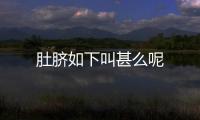 肚臍如下叫甚么呢