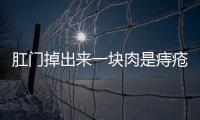 肛門掉出來一塊肉是痔瘡嗎