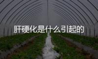 肝硬化是什么引起的