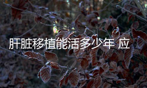 肝臟移植能活多少年 應(yīng)該怎樣正確判斷肝臟好壞