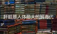 肝臟是人體最大的解毒代謝器官，養(yǎng)護(hù)肝臟，4個(gè)環(huán)節(jié)不能少