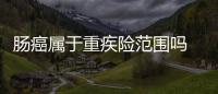 腸癌屬于重疾險范圍嗎 重疾險的被保人豁免嗎
