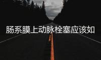 腸系膜上動(dòng)脈栓塞應(yīng)該如何回事