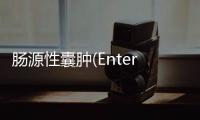 腸源性囊腫(Enterogenous cyst)雙期增強(qiáng)CT