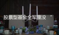 股票型基金全軍覆沒 “紅五月”期待終成泡影