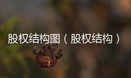 股權(quán)結(jié)構(gòu)圖（股權(quán)結(jié)構(gòu)）