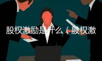 股權(quán)激勵(lì)是什么（股權(quán)激勵(lì)是什么意思）