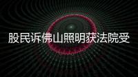 股民訴佛山照明獲法院受理 索賠金額超千萬